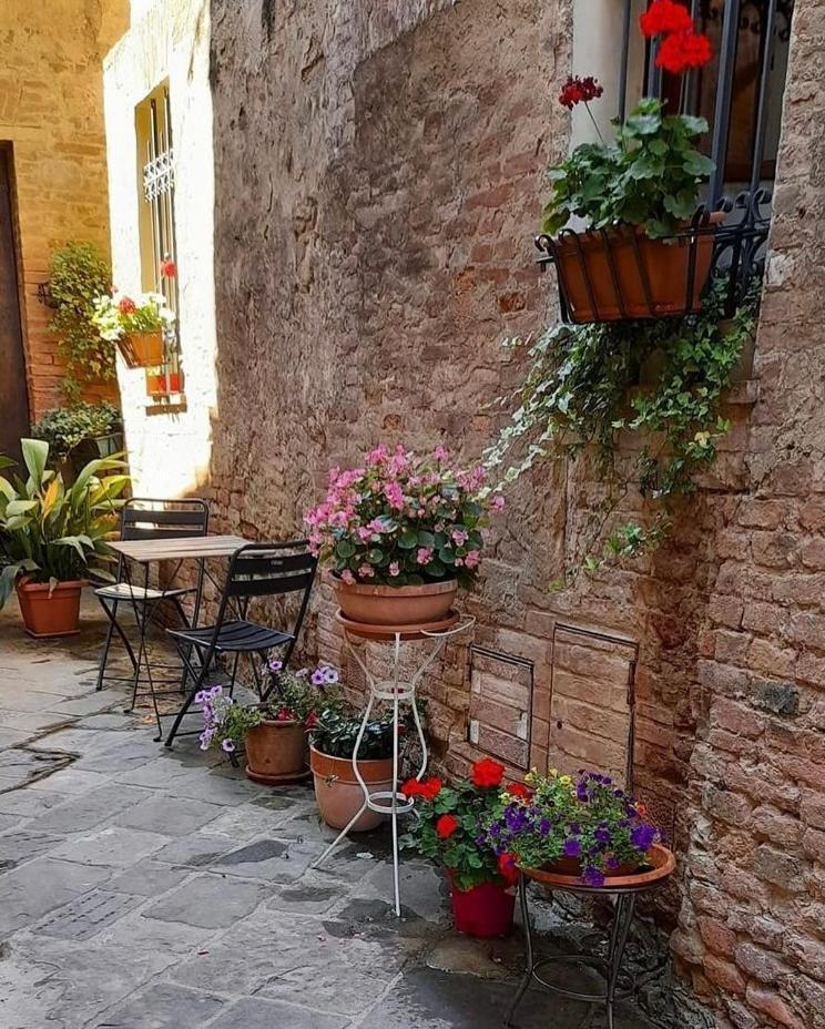 Ferienwohnung La Casina Buonconvento Exterior foto